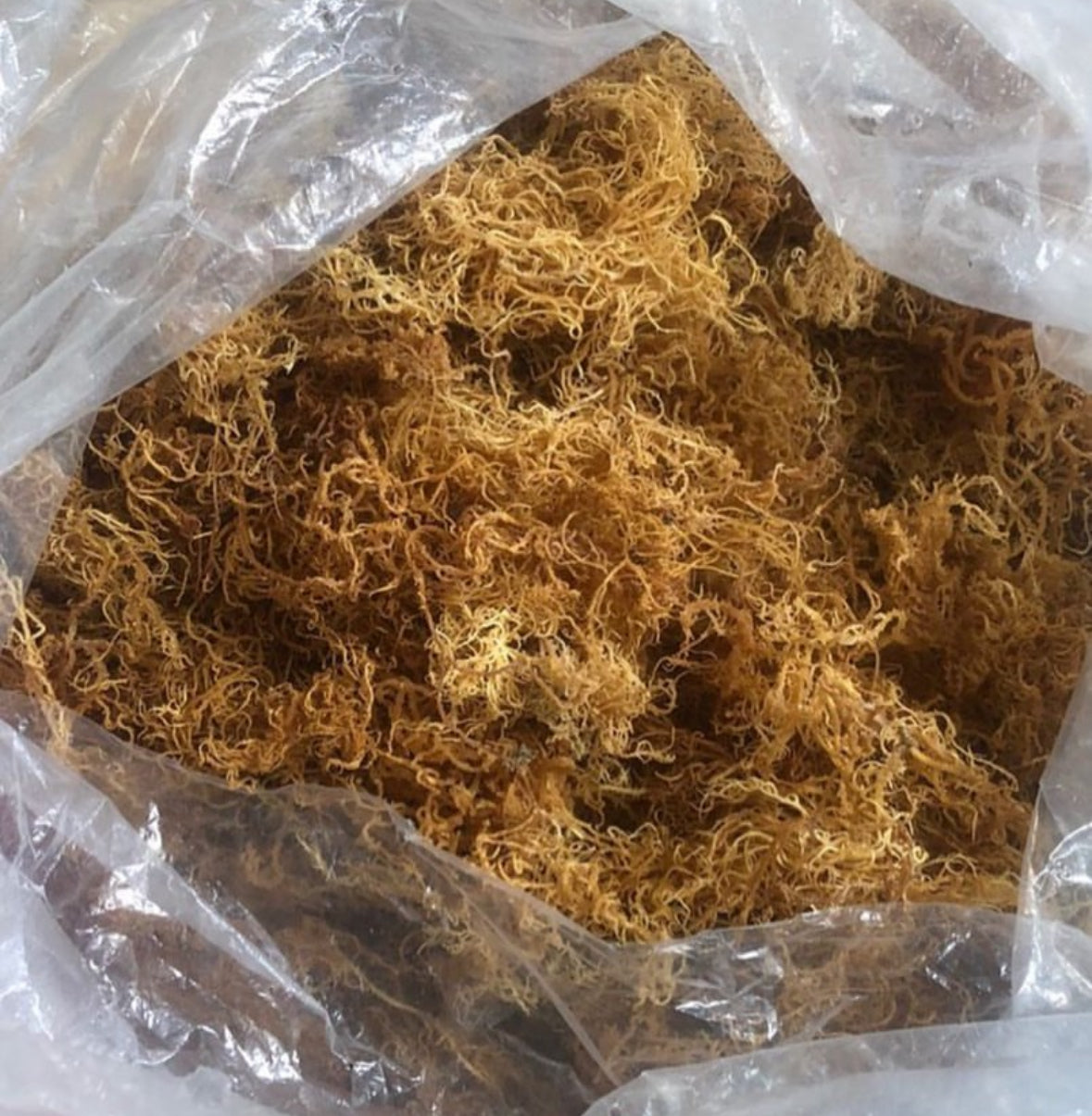 Raw Dried Sea Moss