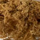 Raw Dried Sea Moss